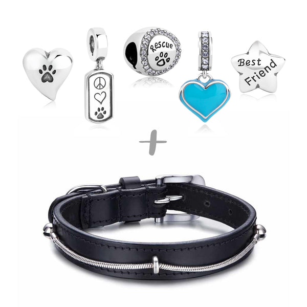 Bella & Beau Charmed Collars for Dogs